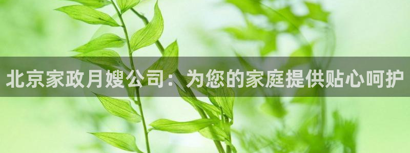 杏悦平台代理怎么做的