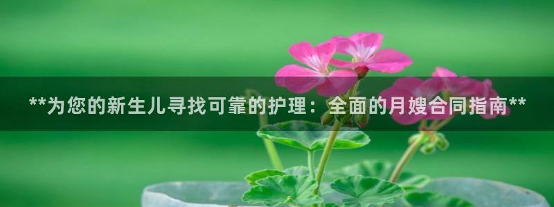 杏悦平台注册网址