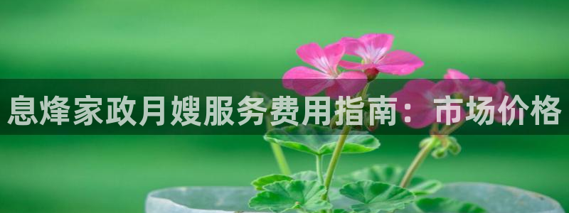 杏悦官方平台官网下载
