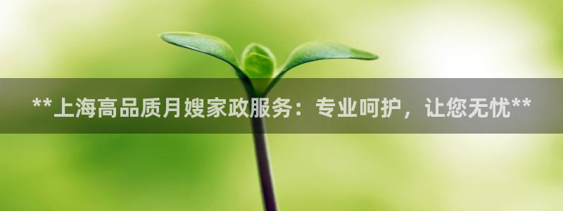 杏悦平台注册流程