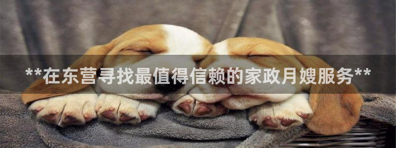 杏悦招商地址