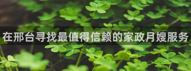 杏悦招商地址