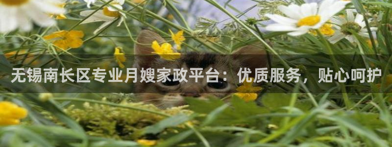 杏悦平台代理