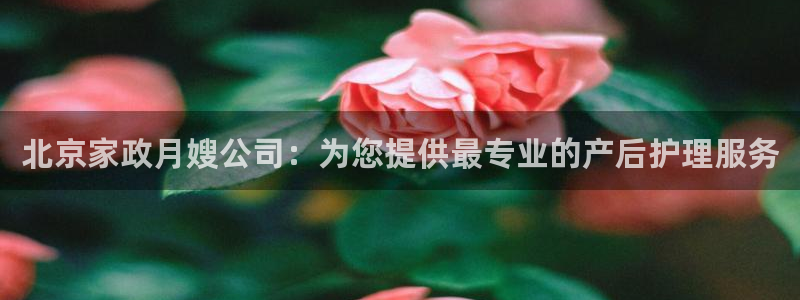 杏悦是什么