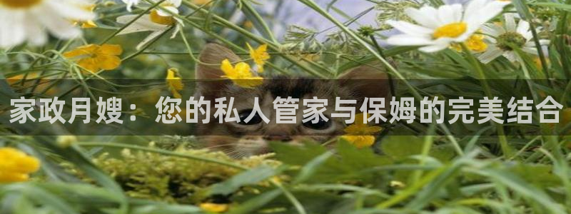 杏悦官方平台官网首页