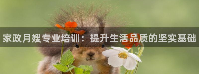 杏悦平台线路测速