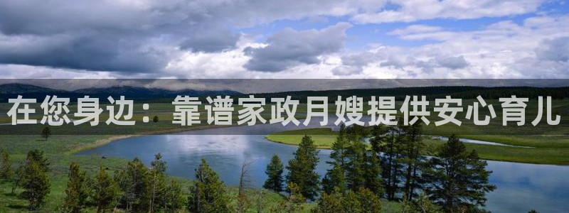 杏悦平台登录网址查询