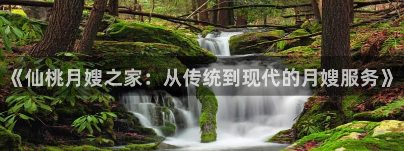 杏悦平台代理怎么做的