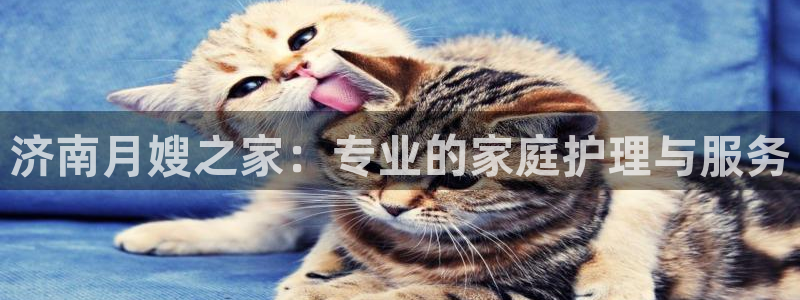 杏悦1招商地址