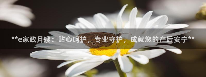 杏悦平台开户地址在哪里