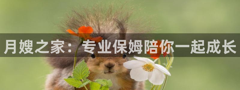杏悦官方平台官网首页