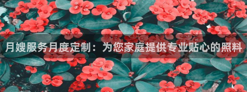 杏悦平台代理怎么做的