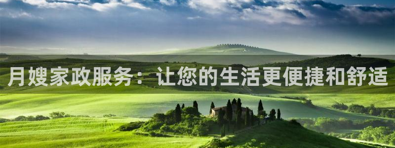 杏悦是什么平台