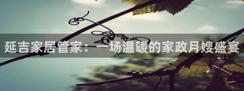 杏悦平台代理怎么赚钱