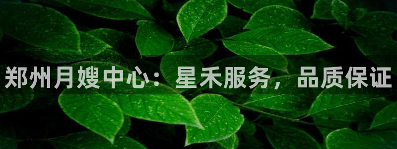 杏悦招商地址