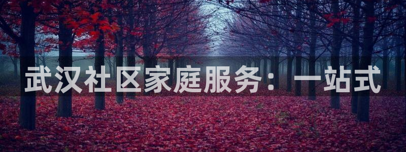 杏悦平台代理怎么赚钱快
