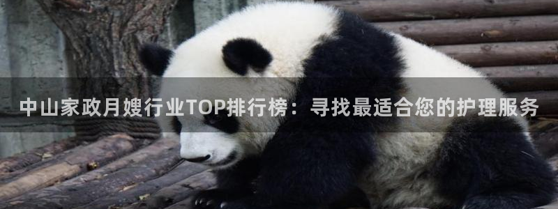 杏悦平台登陆