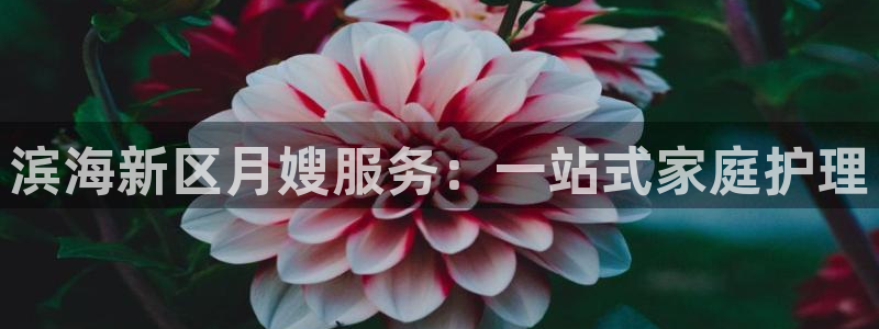 杏悦平台代理怎么做的