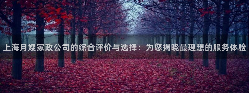 杏悦平台线路测速