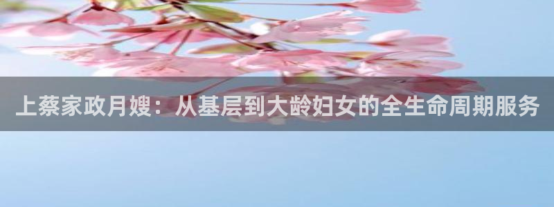 杏悦平台代理怎么做
