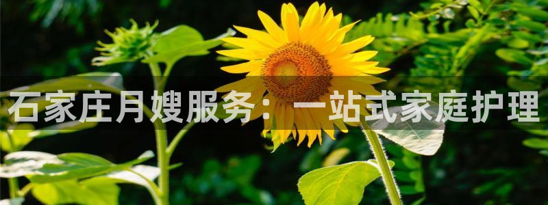 杏悦官网注册信息在哪里看