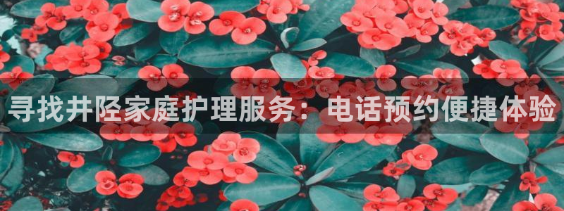 杏悦平台主管