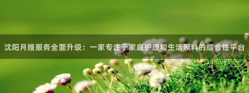 杏悦平台注册流程