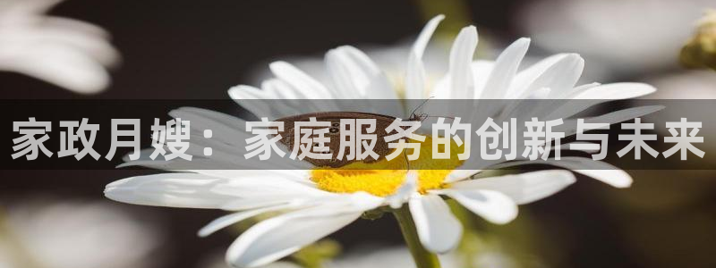 杏悦总代理