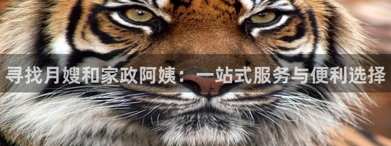 杏悦娱乐怎么玩