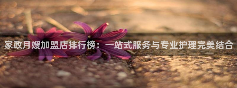 杏悦招商地址