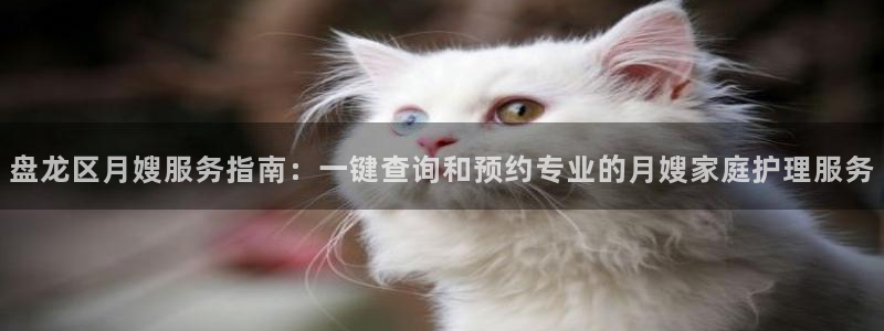 杏悦娱乐是什么
