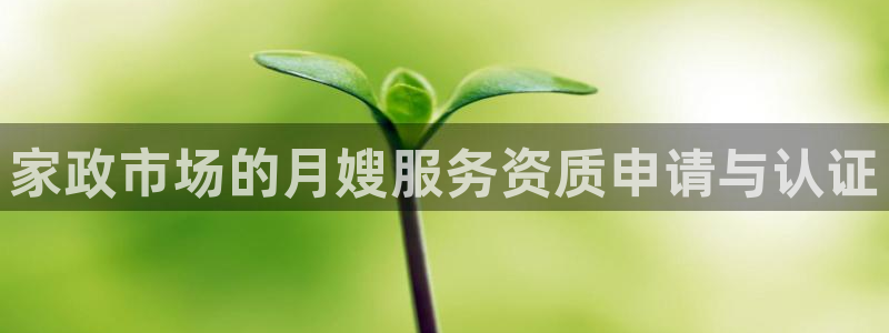杏悦招商地址