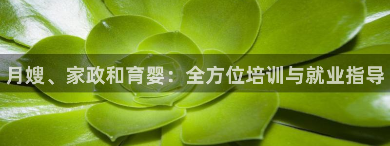 杏悦平台线路测速