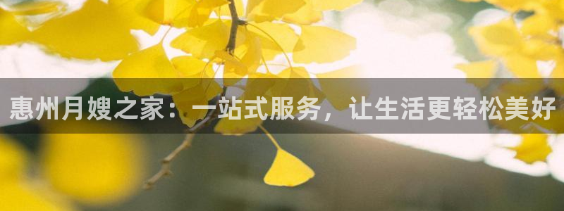 杏悦平台代理多少钱
