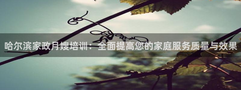 杏悦官方平台