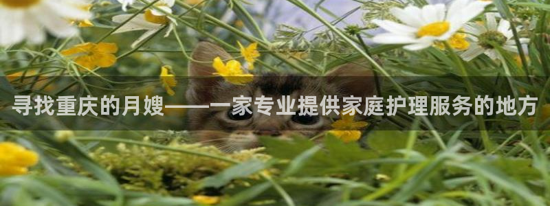 杏悦平台可靠吗可信吗安全吗