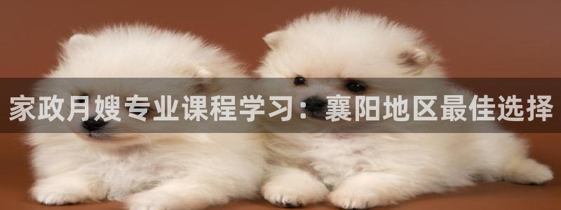 杏悦平台官网注册账号