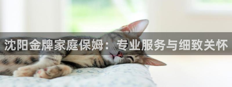 杏悦登录网址是什么