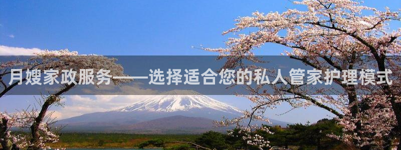 杏悦官网注册信息查询