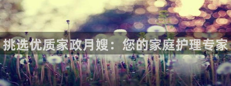 杏悦平台开户地址