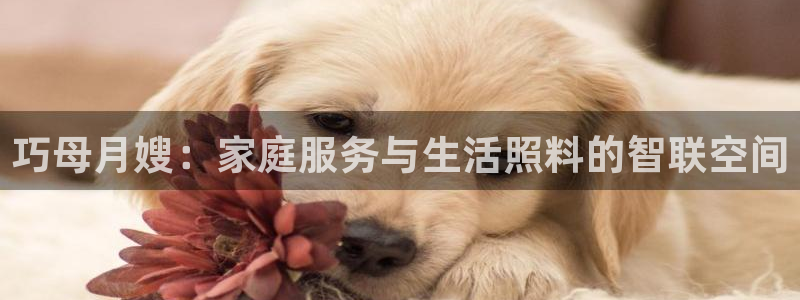 杏悦平台代理怎么赚钱