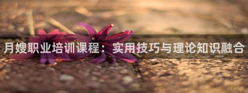 杏悦登录网址是什么