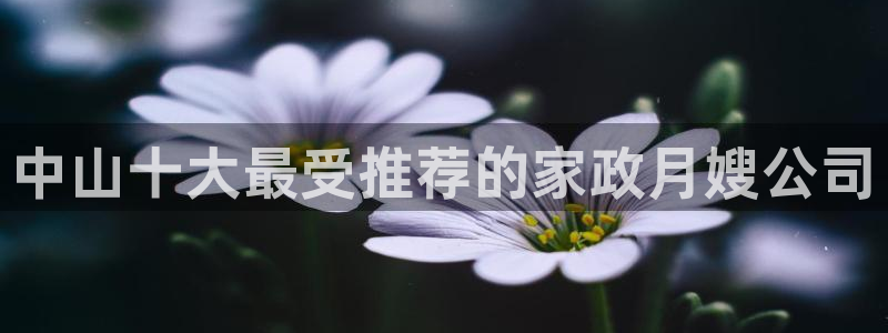 杏悦平台注册网址