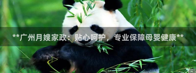 杏悦官网注册信息