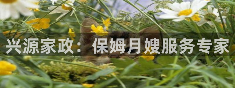 杏悦平台官网注册