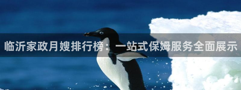 杏悦登录网址是什么