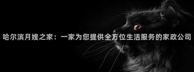 杏悦娱乐怎么玩