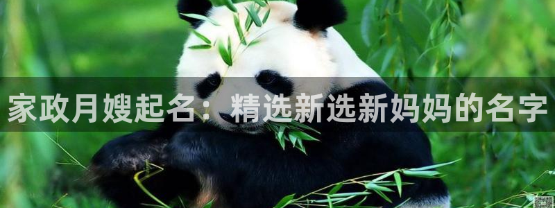 杏悦平台线路测速