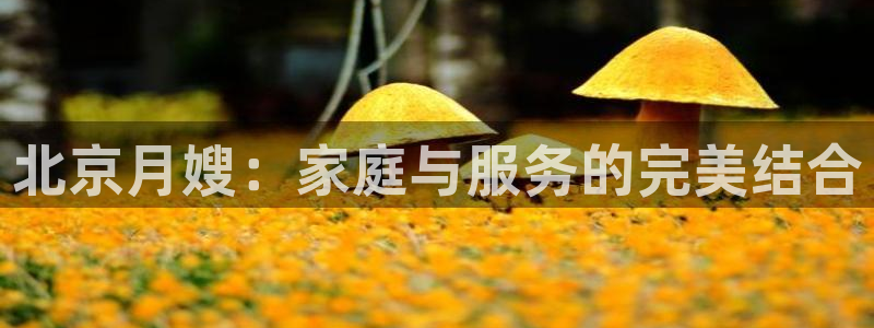 杏悦平台代理注册多少钱