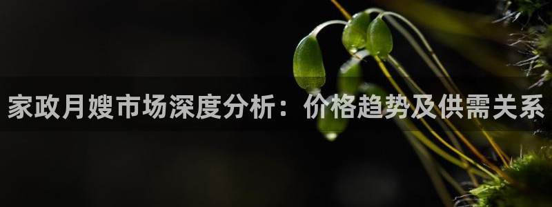 杏悦平台如何注册账号